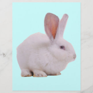 Kawaii Niedlich Bunny Rabbit