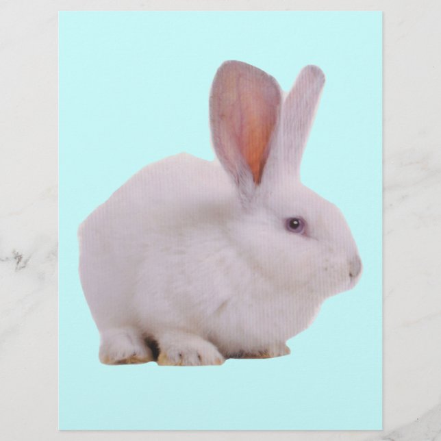 Kawaii Niedlich Bunny Rabbit (Vorderseite)