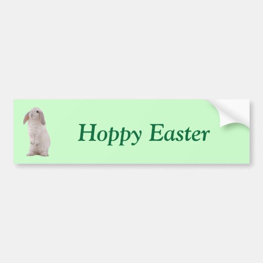Kawaii Niedlich Bunny Rabbit Autoaufkleber (Vorne)