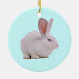 Kawaii Niedlich Bunny Rabbit Keramikornament