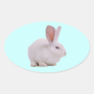 Kawaii Niedlich Bunny Rabbit Ovaler Aufkleber