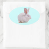 Kawaii Niedlich Bunny Rabbit Ovaler Aufkleber (Tasche)