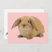 Kawaii Niedlich Bunny Rabbit Postkarte (Vorne/Hinten)