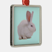 Kawaii Niedlich Bunny Rabbit Silbernes Ornament (Rechts)