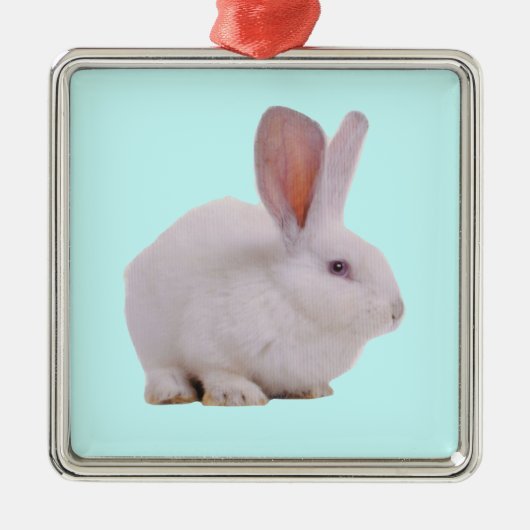 Kawaii Niedlich Bunny Rabbit Silbernes Ornament (Vorne)