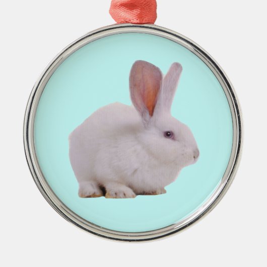 Kawaii Niedlich Bunny Rabbit Silbernes Ornament (Vorne)