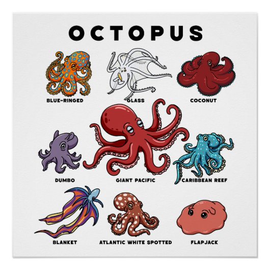 Kawaii-Oktopus der Welt Poster (Vorderseite)