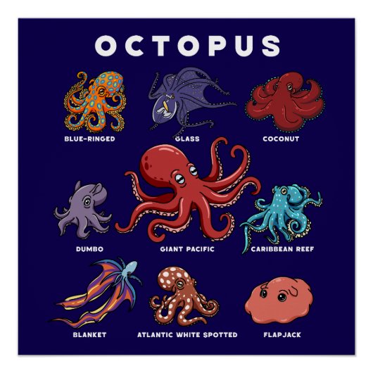 Kawaii-Oktopus der Welt Poster (Vorderseite)