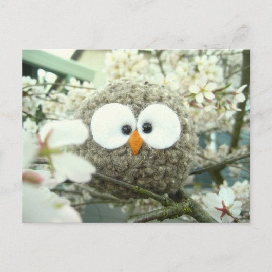 Kawaii Oliver the Owl Postkarte (Vorderseite)