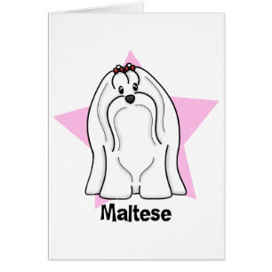 Kawaii Stern maltesisch