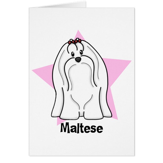 Kawaii Stern maltesisch (Vorne)