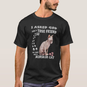 Kawaii Teddy Rex Kitten Sprichwort Mama Vater Nied T-Shirt