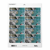 Kawarau Bridge Bungy POV, Queenstown, Neuseeland (Vorne)