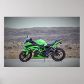 Kawasaki Ninja 300 Poster (Vorne)
