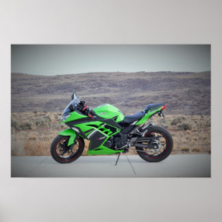 Kawasaki Ninja 300 Poster