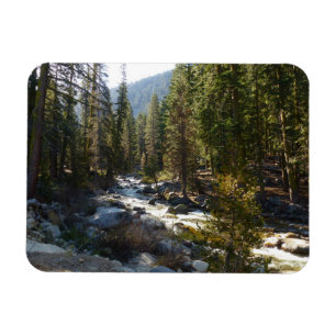 Kaweah River im Sequoia National Park Magnet