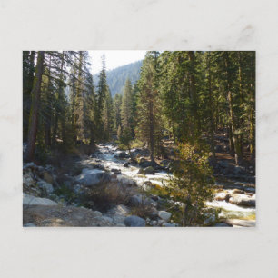 Kaweah River im Sequoia National Park Postkarte