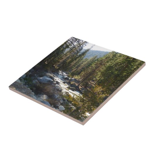 Kaweah River im Sequoia-Nationalpark Fliese (Seite)