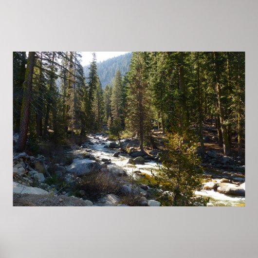 Kaweah River im Sequoia-Nationalpark Poster (Vorne)