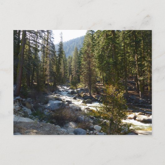 Kaweah River im Sequoia-Nationalpark Postkarte (Vorderseite)