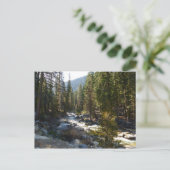 Kaweah River im Sequoia-Nationalpark Postkarte (Stehend Vorderseite)