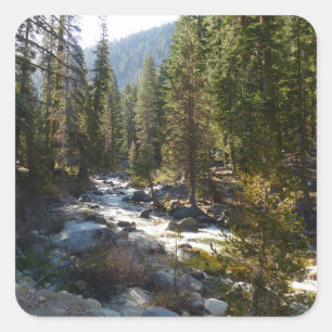 Kaweah River im Sequoia-Nationalpark Quadratischer Aufkleber