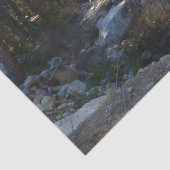 Kaweah River im Sequoia-Nationalpark Seidenpapier (Detail)