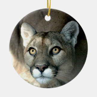 Kaya Verzierung Keramik Ornament