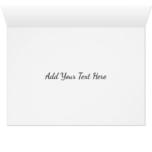 Kayak (Innenansicht Horizontal (Unten))