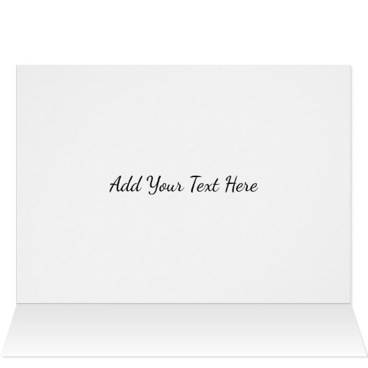 Kayak (Innenansicht Horizontal (Oben))