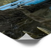 Kayak & Raft im Frühjahr Poster (Ecke)