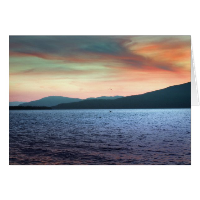 Kayak und Gull Return (Vorderseite (Horizontal))