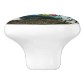 Kayaking in St. Thomas - US-Jungfrau Keramikknauf (Seitenansicht)