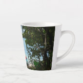 Kayaking in St. Thomas - US-Jungfrau Milchtasse (Rechts)