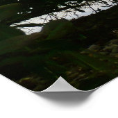 Kayaking in St. Thomas - US-Jungfrau Poster (Ecke)