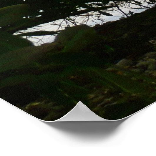 Kayaking in St. Thomas - US-Jungfrau Poster (Ecke)