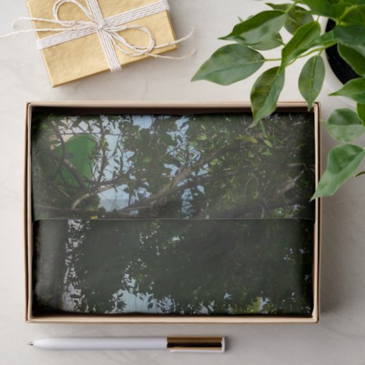 Kayaking in St. Thomas - US-Jungfrau Seidenpapier (Geschenk)