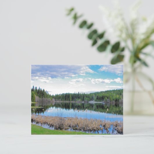 Kayaking Marshall Lake - Boundary B.C. Postkarte (Stehend Vorderseite)