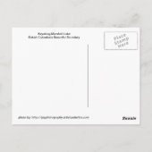 Kayaking Marshall Lake - Boundary B.C. Postkarte (Rückseite)