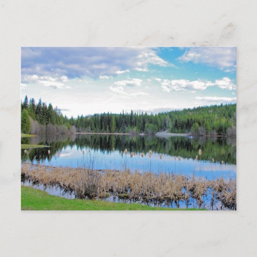 Kayaking Marshall Lake - Boundary B.C. Postkarte (Vorderseite)