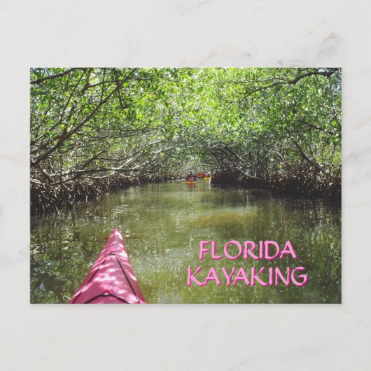 Kayaking Through the Mangroves Florida Adventure Postkarte (Vorderseite)