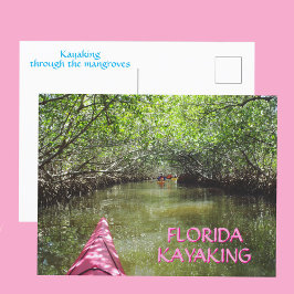 Kayaking Through the Mangroves Florida Adventure Postkarte