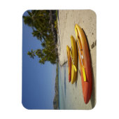 Kayaks on the beach, Plantation Island Resort Magnet (Vertikal)