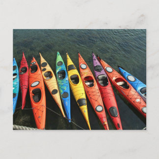 Kayaks! Postkarte
