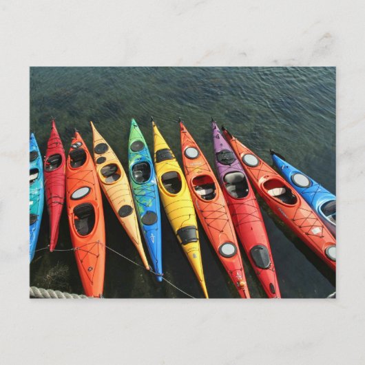 Kayaks! Postkarte (Vorderseite)