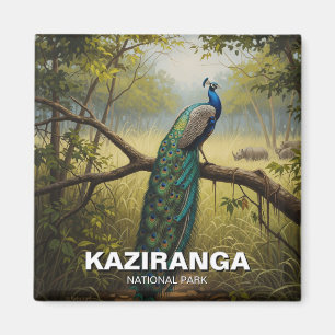 Kaziranga National Park Assam India Travel Magnet