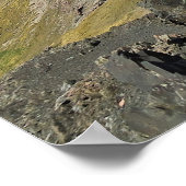 Kea in Arthurs Pass Poster (Ecke)