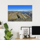 Kea in Arthurs Pass Poster (Heimbüro)