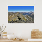 Kea in Arthurs Pass Poster (Küche)