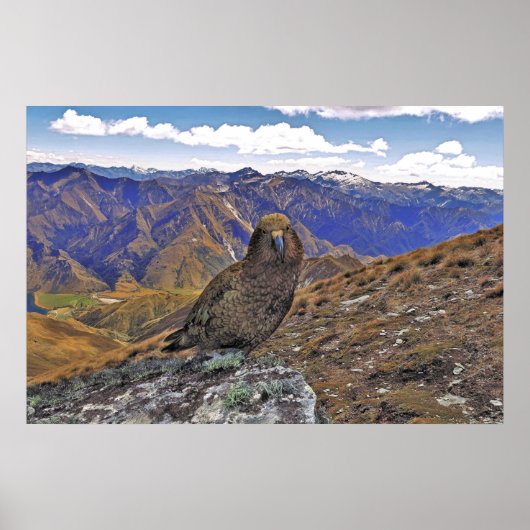 Kea Kountry Poster (Vorne)